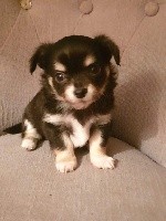 Parker 